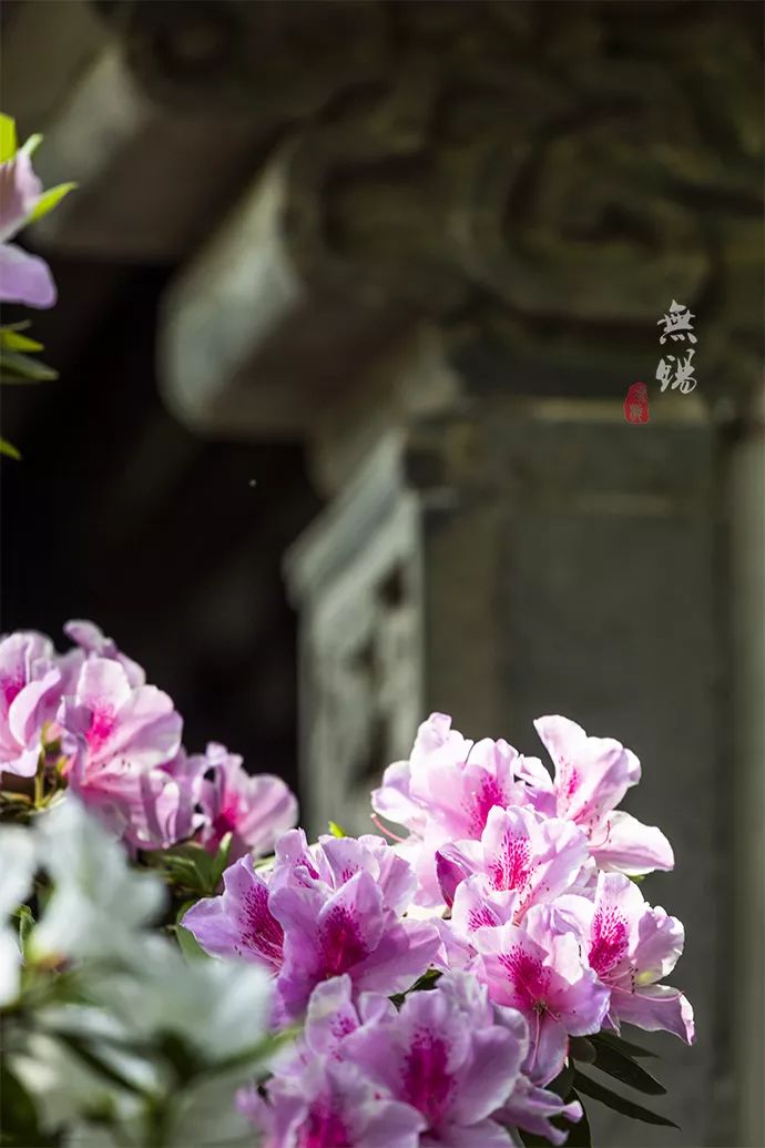 惠山古镇天下第二泉竹筒茶,惠山古镇天下第二泉