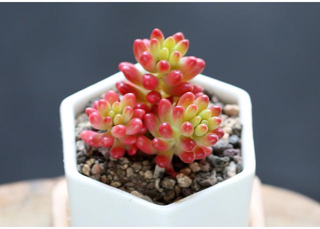 六月情感语录短句,五月的心灵鸡汤句子