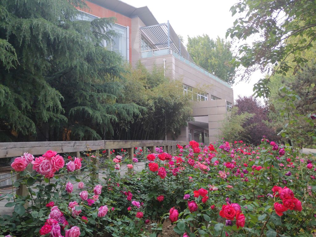 中国有几所中华女子学院,中华女子学院在全国高校排名