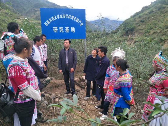 青年红色筑梦之旅直播间,青年红色筑梦之旅直播西瓜视频