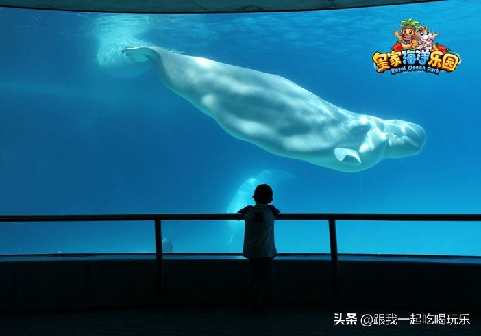 抚顺海洋馆外面有什么,沈阳和抚顺哪个海洋馆比较好