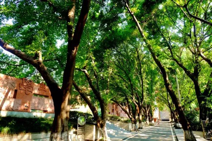 重庆一中本部到底有多强,重庆一中小升初试题及答案