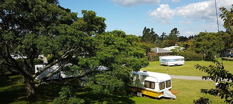 世界真奇妙大自然,新西兰自然主义公园