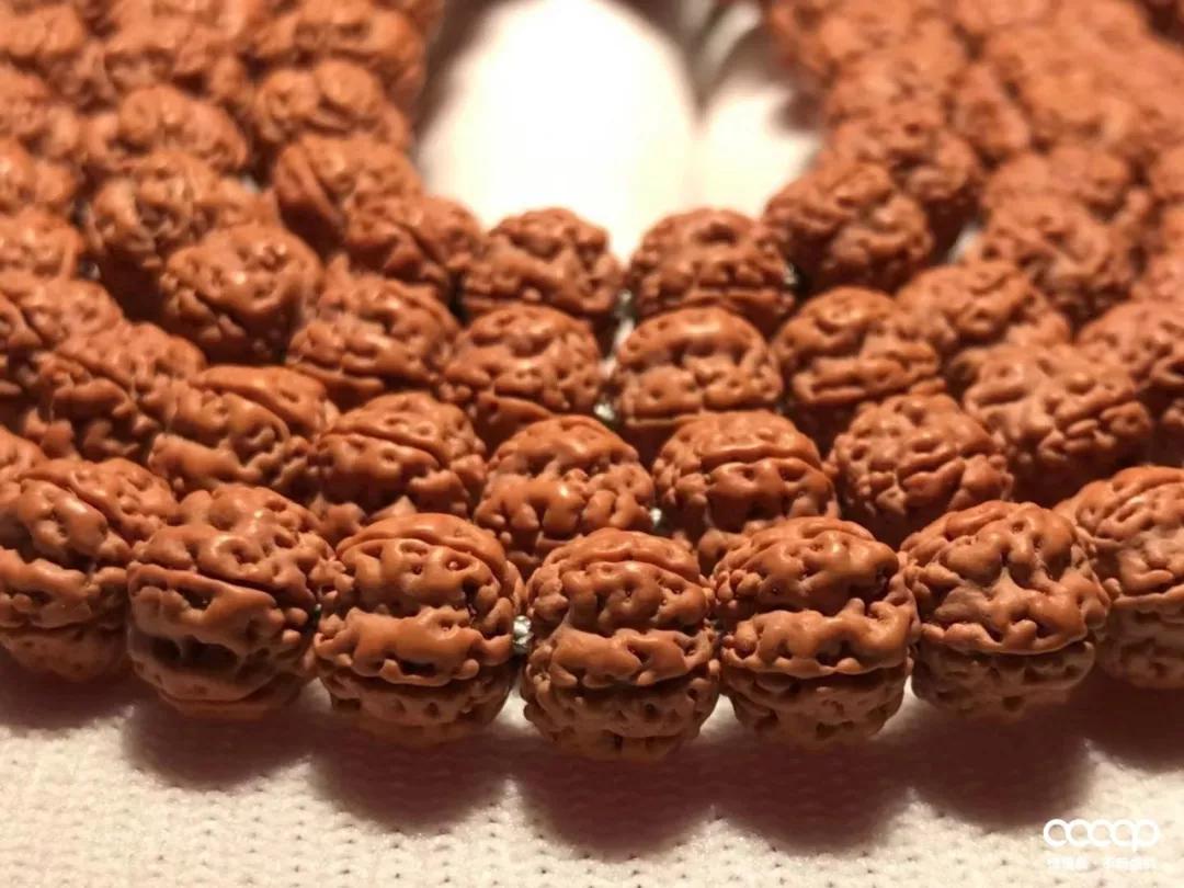 小金刚价格为什么差这么多,小金刚被骗200万