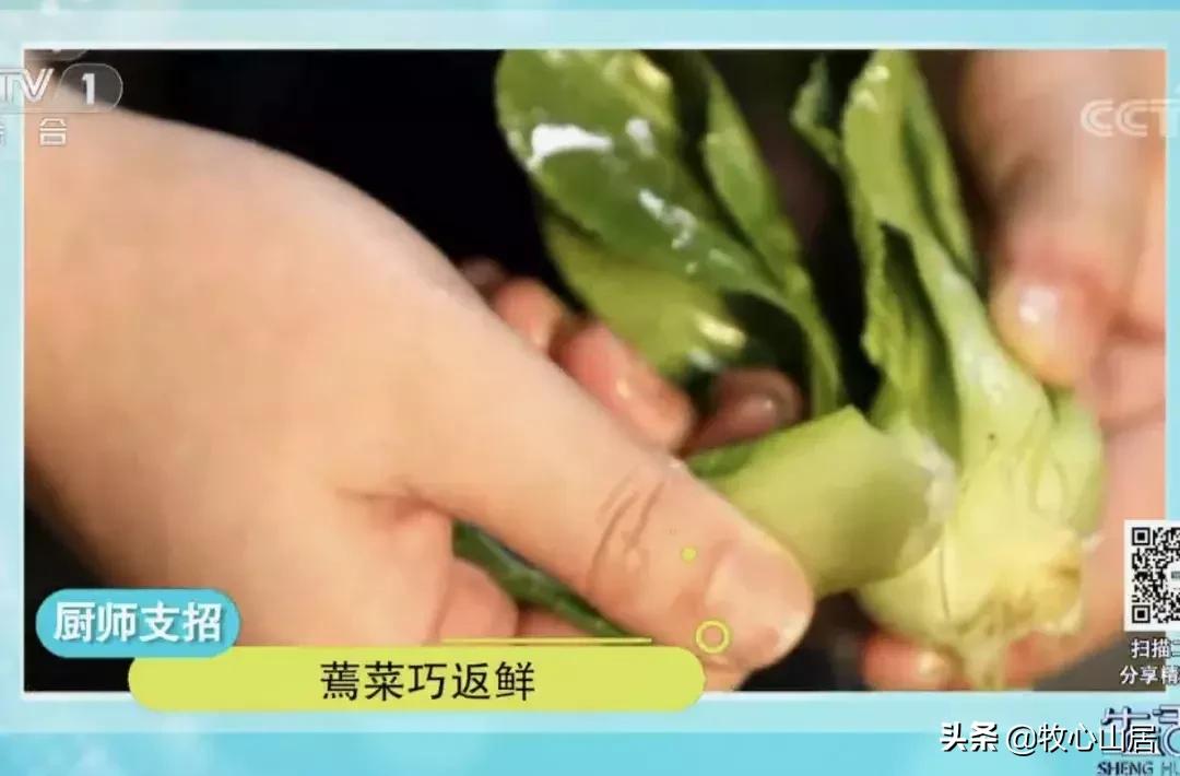 蔬菜蔫了可以怎么利用,蔬菜蔫了怎么办