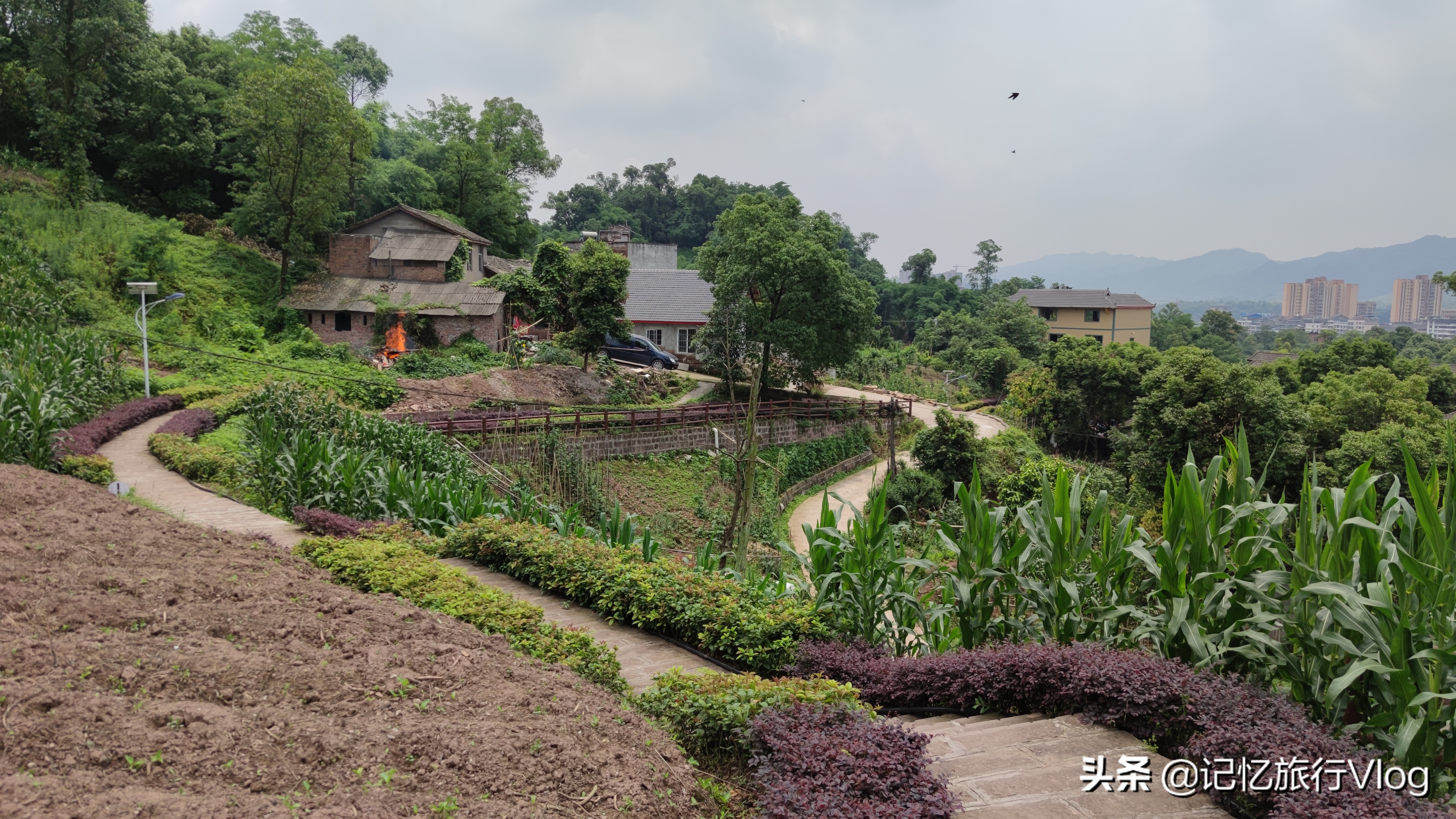 重庆走马古镇,重庆走马古镇视频