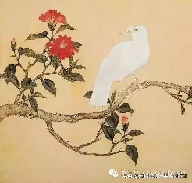 清宫鸟谱,清宫秘传鸟谱大全