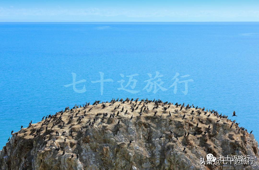 自驾游青海湖景点攻略图片最新版,青海湖自驾游必去景点攻略图