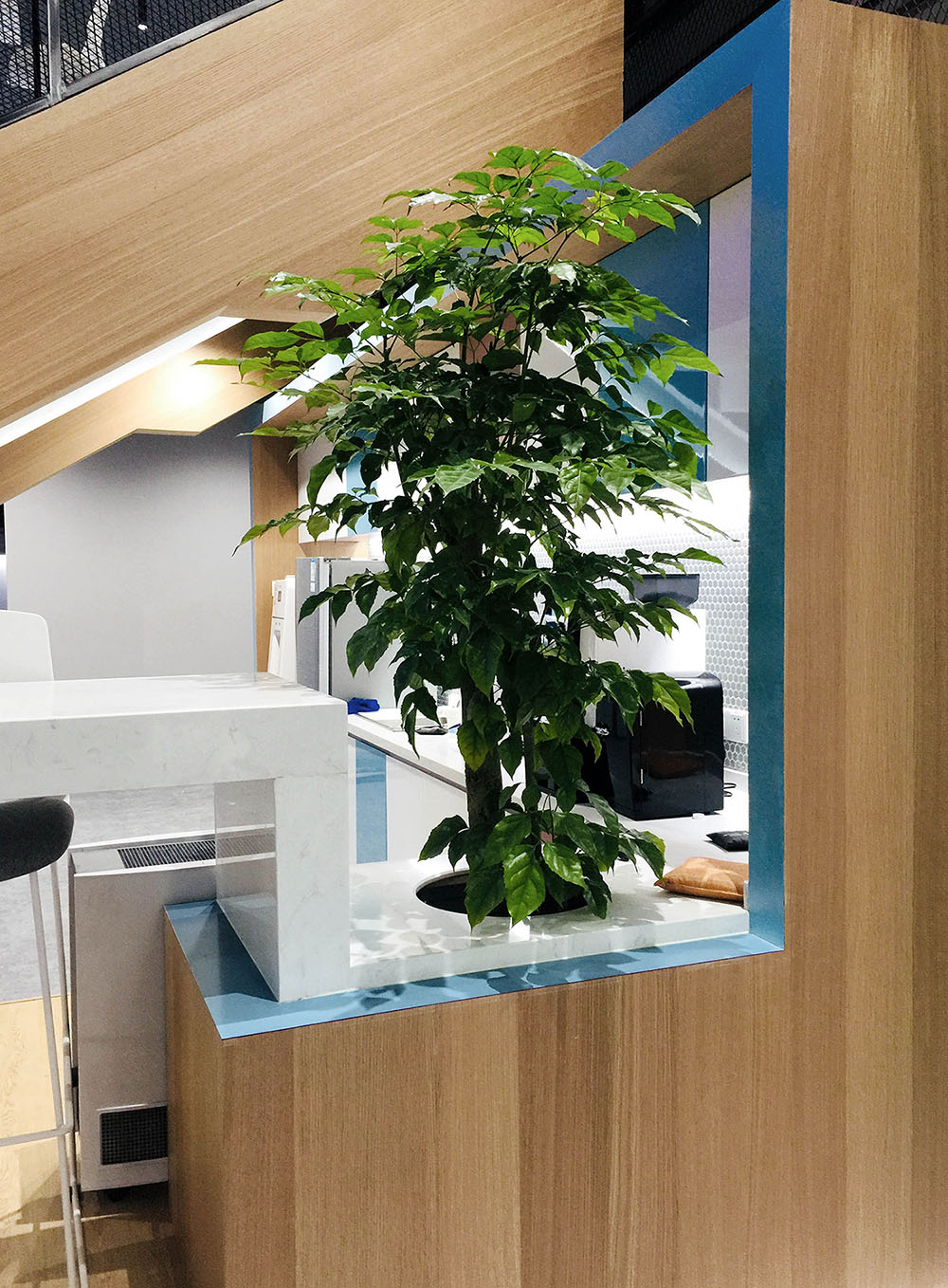 哔哩哔哩抖音总部,blg和哔哩哔哩的关系