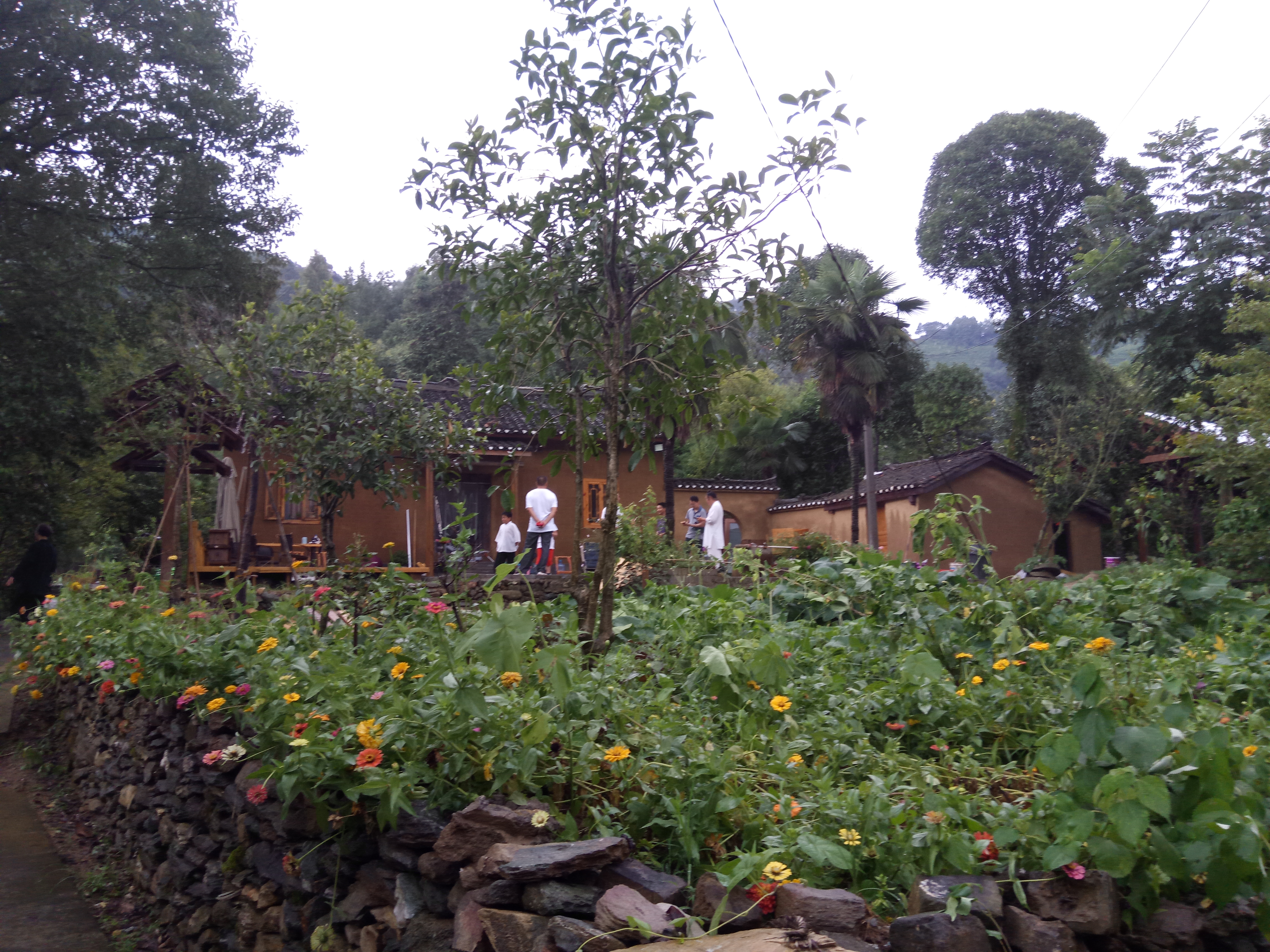 农村月入2万的10个致富小生意,农村人有哪些致富好项目