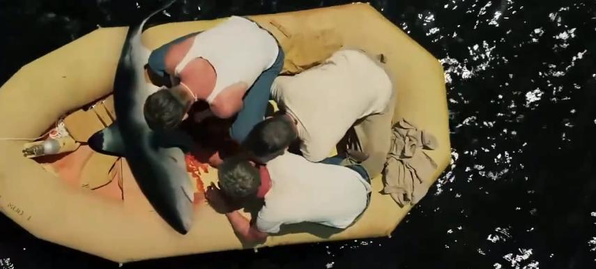 士兵被困海岛上,士兵被困在海上吃鲨鱼