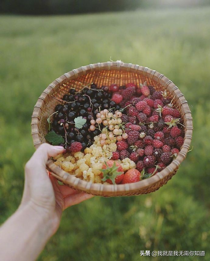 心理性暴饮暴食怎么办,心理学治愈暴食