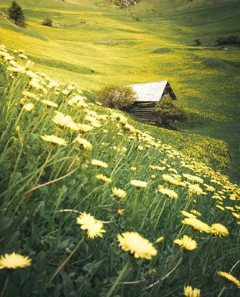 因为太美禁止拍照的小镇,世界上幸福指数爆棚的国家