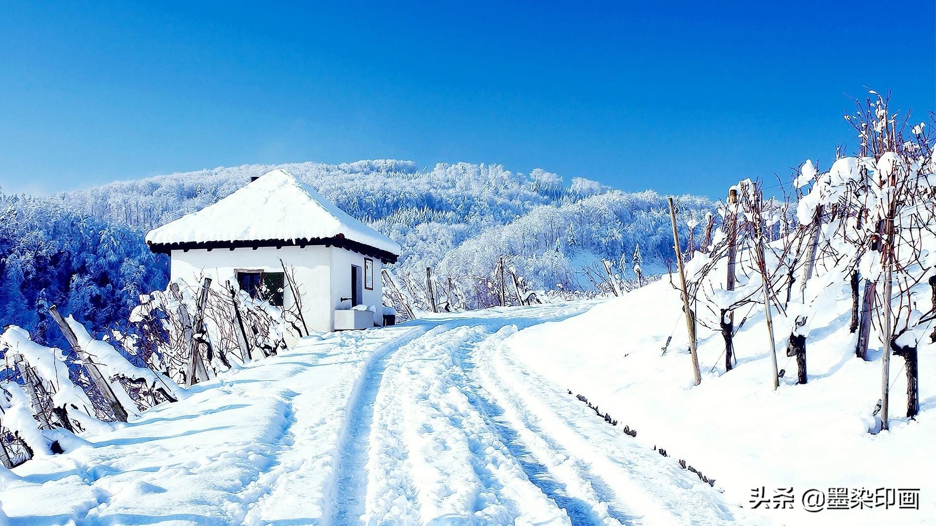 真相曝光补偿和反向曝光补偿区别,曝光补偿调正的还是调成负的好