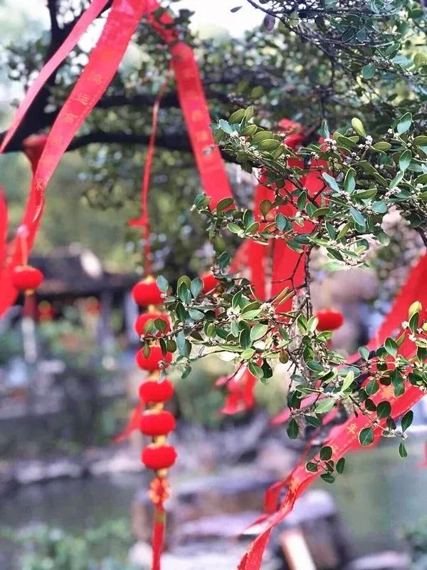 穹窿山风景区:金猪绘新春年味快乐过传统新年!