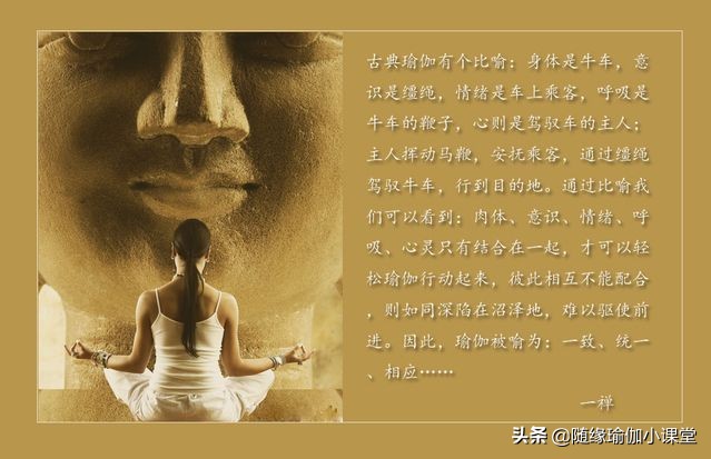 什么瑜伽是所有瑜伽的基础,瑜伽零基础从什么瑜伽开始