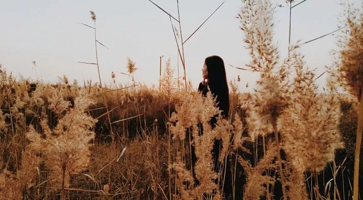 情商最低的行为就是不停地讲道理,不讲道理才是最低的情商