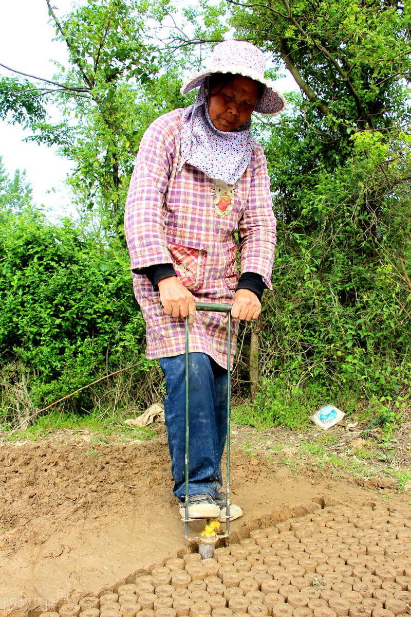 尿液对土壤有影响吗,土壤浇营养液能改善土壤吗