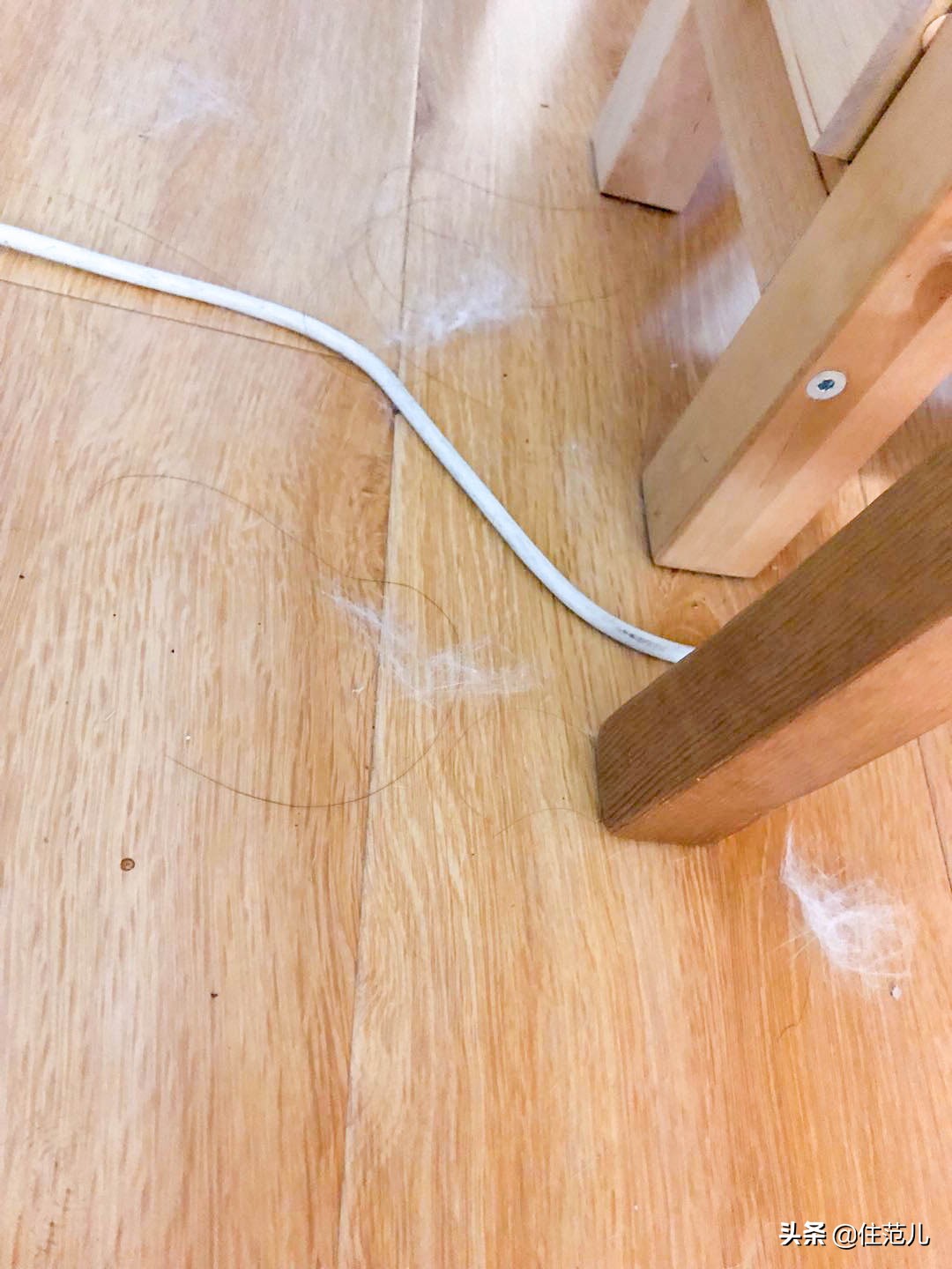 真假戴森的区别,网红戴森是真实用还是真鸡肋