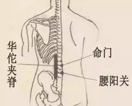 坚持按摩哪个穴位能瘦身,按哪个穴位可以让小腿瘦下来