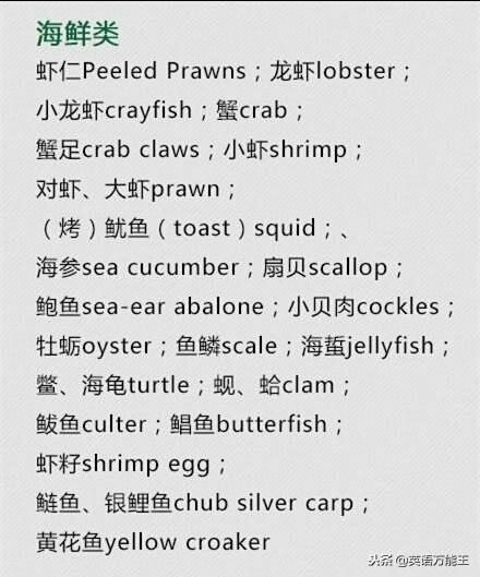 美食类的英语单词有哪些,美食词汇大全中文