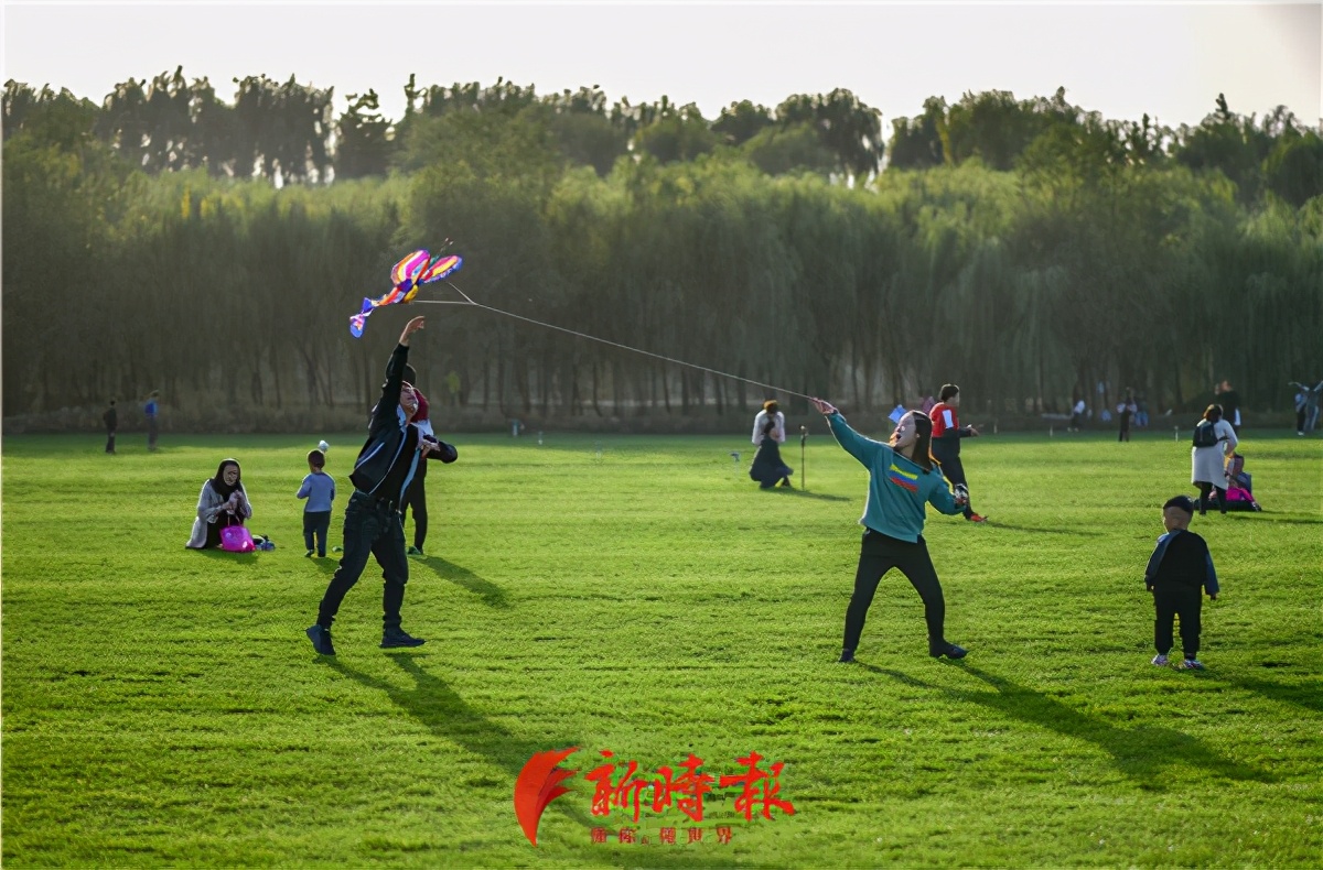 新晋网红的济南版坝上草原要收费了？记者探访黄河大坝网红草坪背后故事