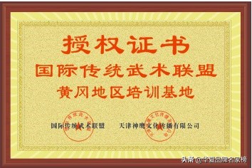 祝贺王战英荣获华夏品牌2019新年艺术展十大影响力武术名家