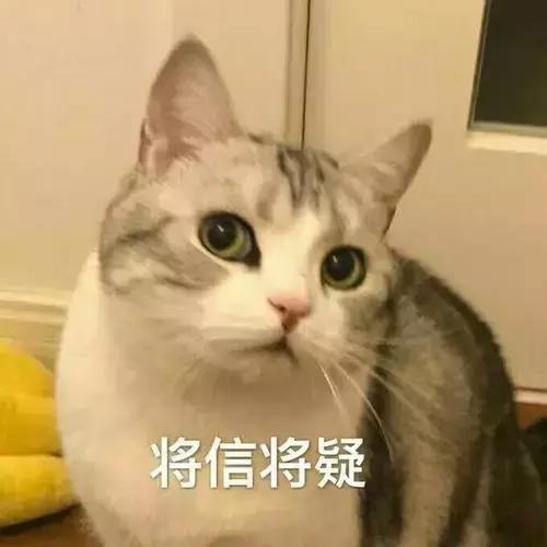 画鼻子修容能不画高光吗,低鼻头怎么画高光