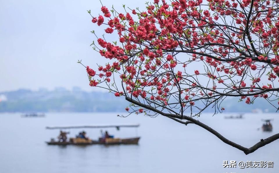 语文拓展100个容易被误用的成语,100个最常被误用的成语行测必备