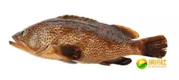 舟山4月份海鲜攻略,舟山海鲜代加工攻略