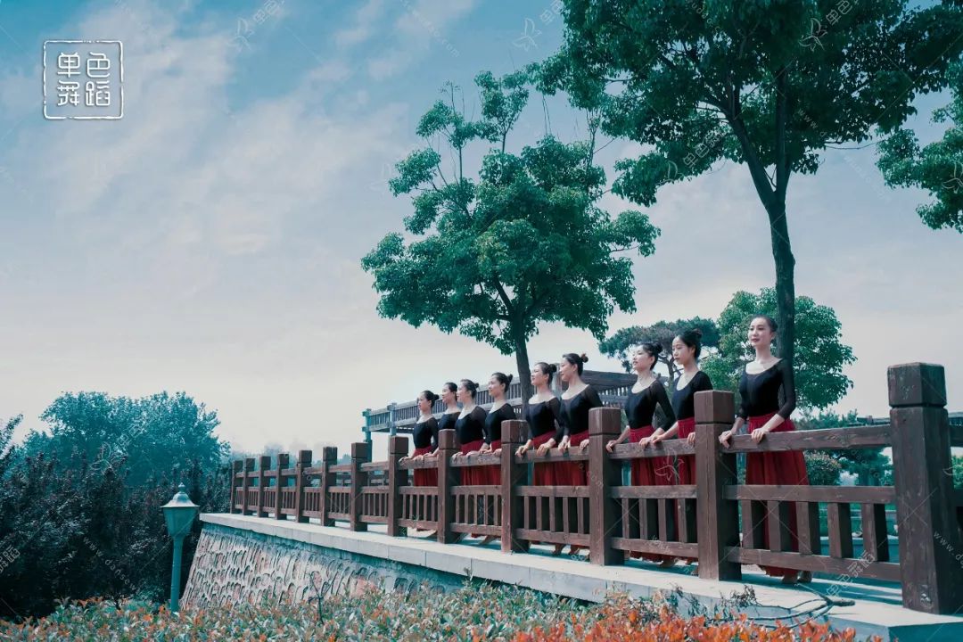 学舞为什么要学中国舞,零基础想学中国舞从哪开始