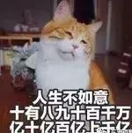 北京铜锅涮肉排队王,老北京涮肉火锅测评