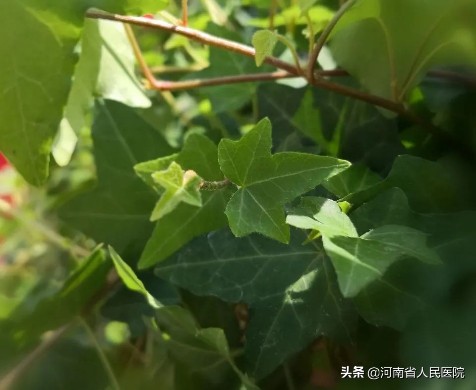 防晒霜spf和fps的区别,防晒霜spfp