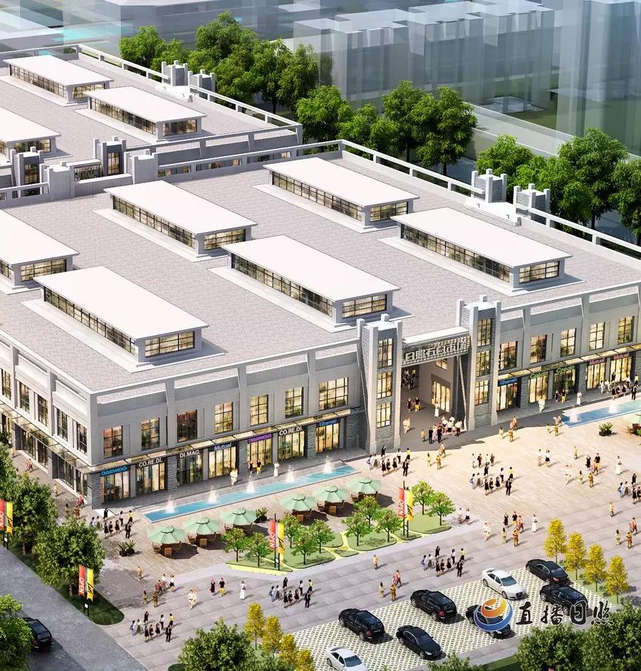 全面开挂！日照，正“满血”起势！