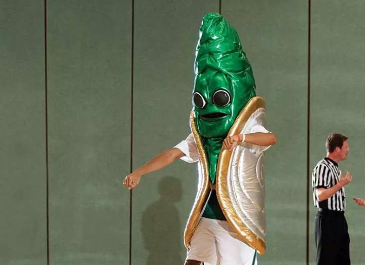 高校吉祥物盘点,高校吉祥物图鉴大全