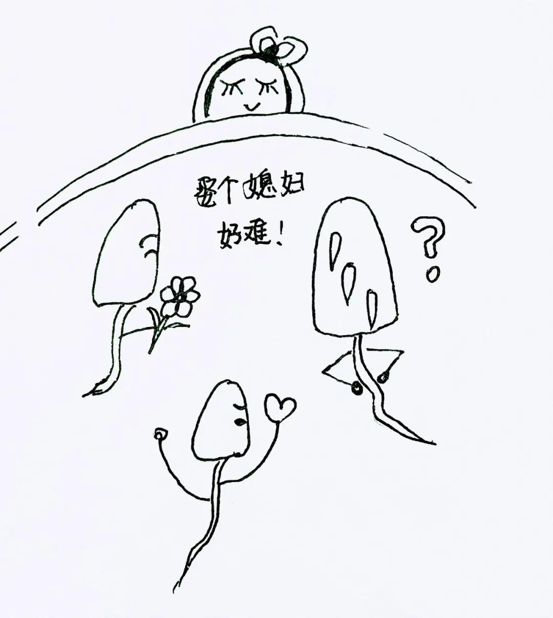 閰稿効杈eコ鏄寚鐢风殑濂崇殑,閰稿効杈eコ閲嶇敺杞诲コ