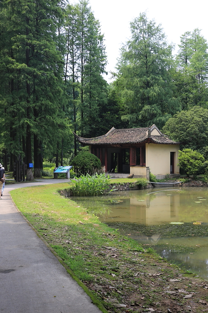 红河谷半音阶口琴独奏,12孔半音阶口琴演奏北国风光