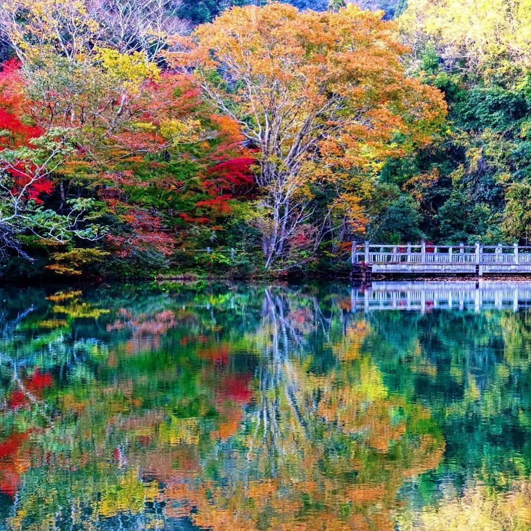 停车坐爱枫林晚，感受火红的秋