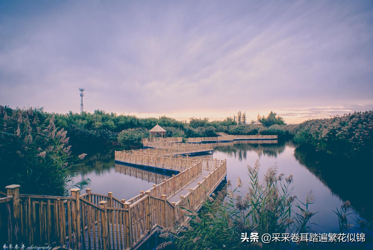 慢游景点,博斯腾湖景点打卡