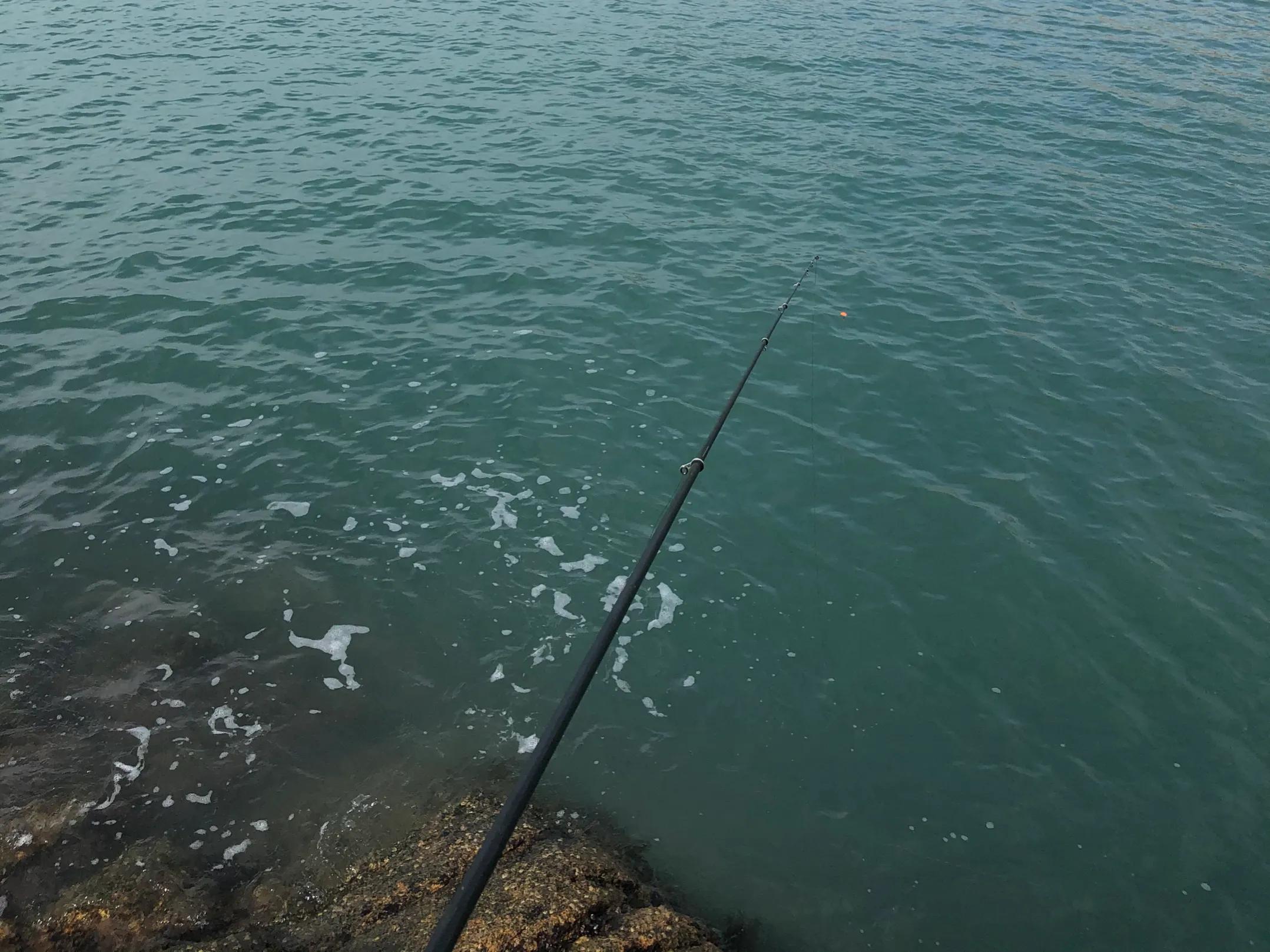 海钓鱼知识,有关海钓的基本常识