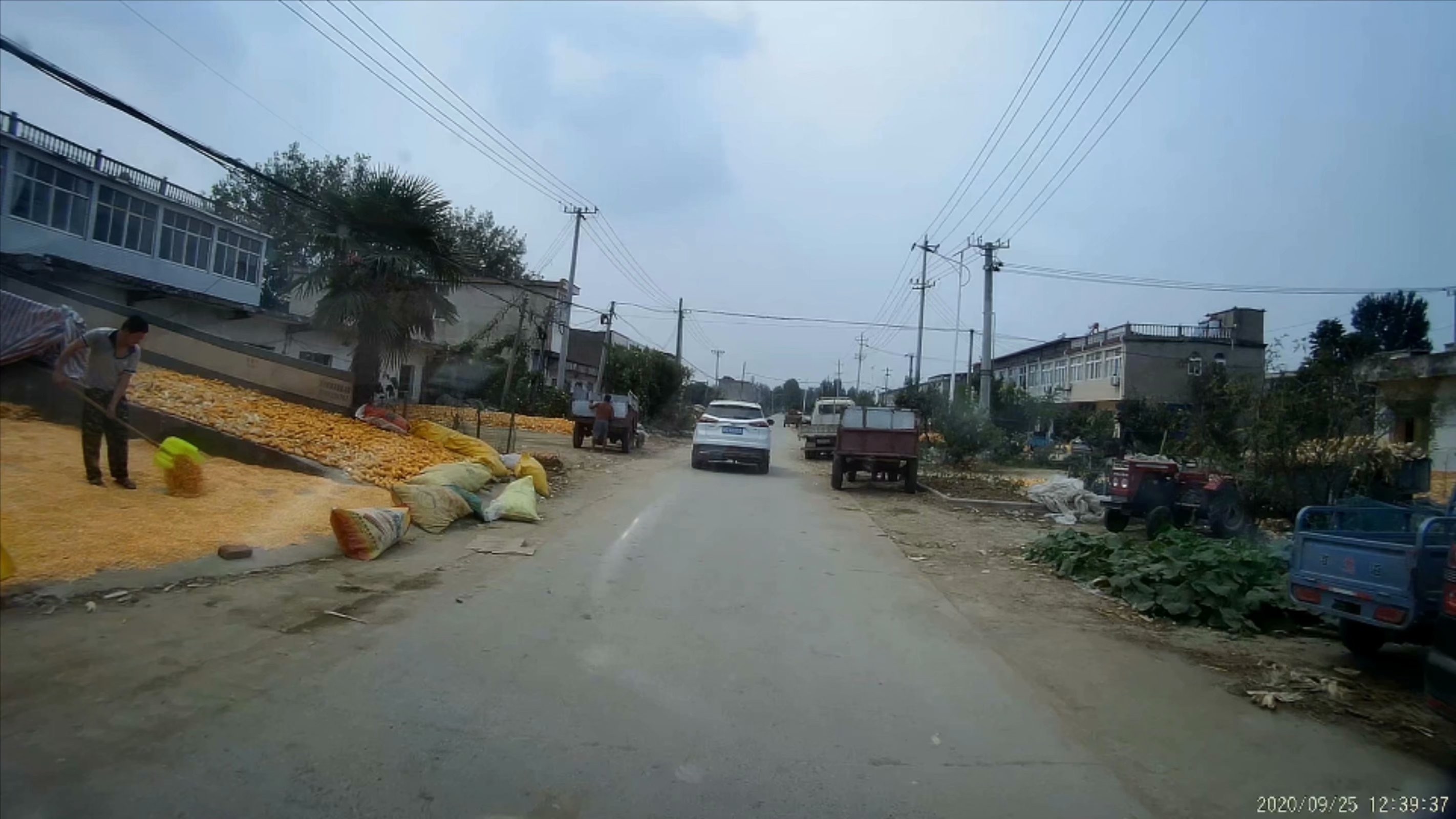 俞伯牙墓为什么在固镇,俞伯牙墓出土