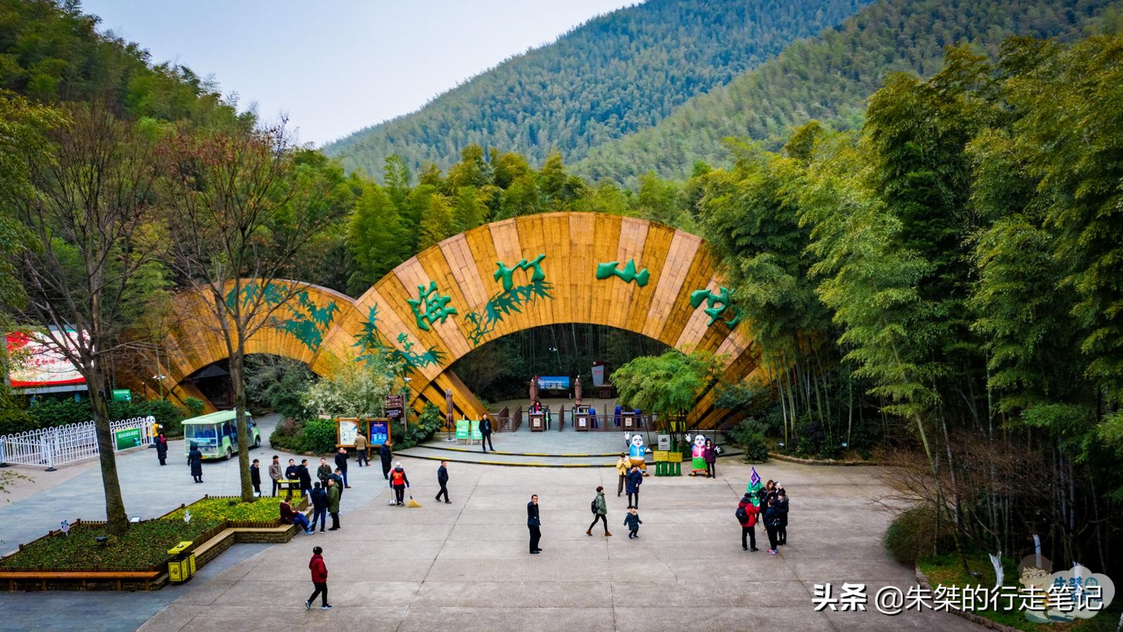 中国最美竹海在竹都江安,中国最大的竹海景区