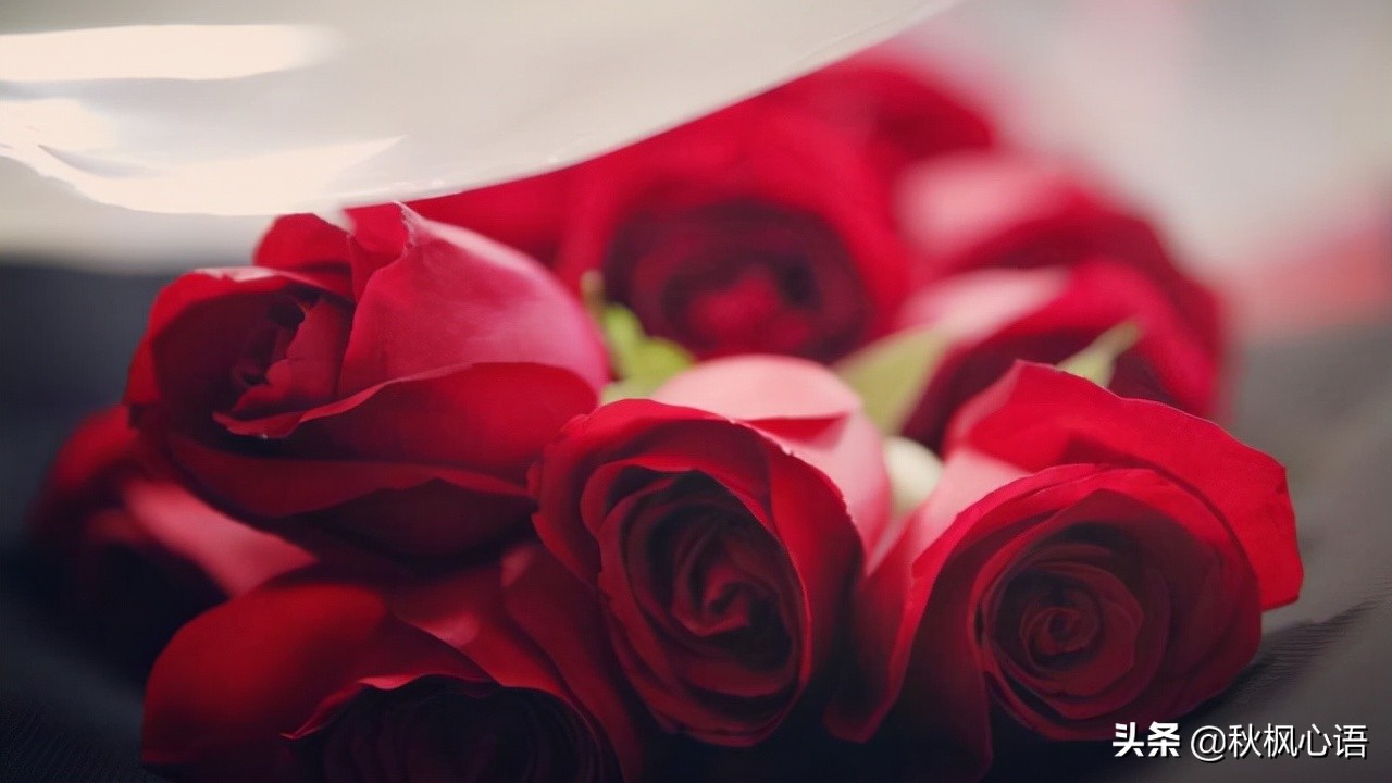 人到中年真的好累,人到了中年真的好累