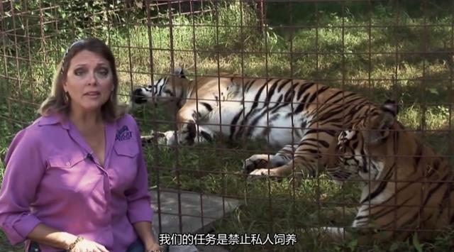 疫情中全美国都在安利这疯子电影