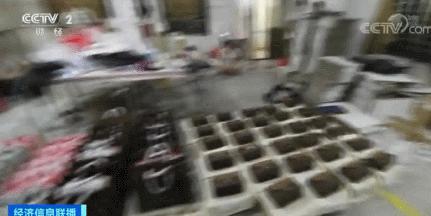 几十块钱的名牌包真的假的 (在国外买的名牌包是真的吗)