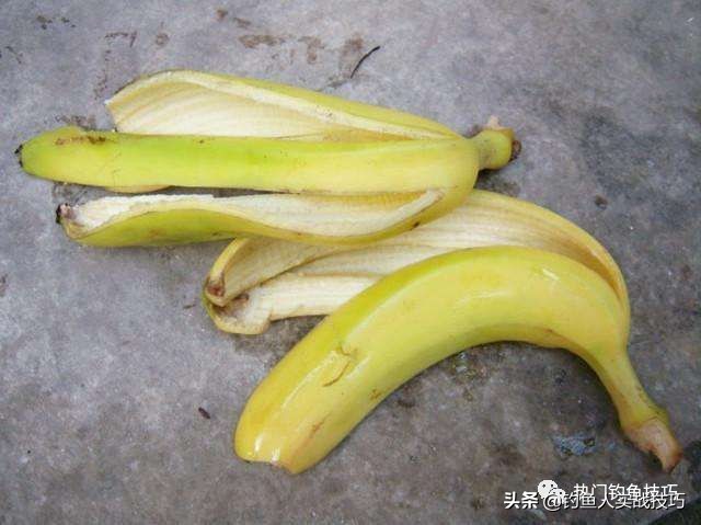 简简单单吃一条鱼,简简单单一根鱼竿就可以钓鱼