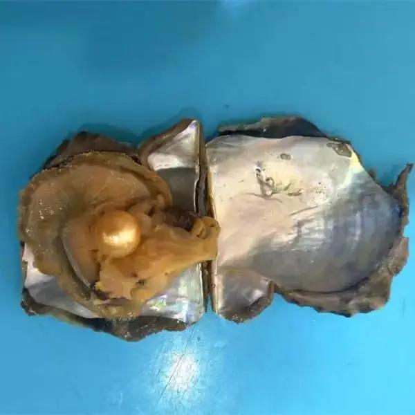 黑曜石买来的时候需要加持吗,黑曜石越黑越好