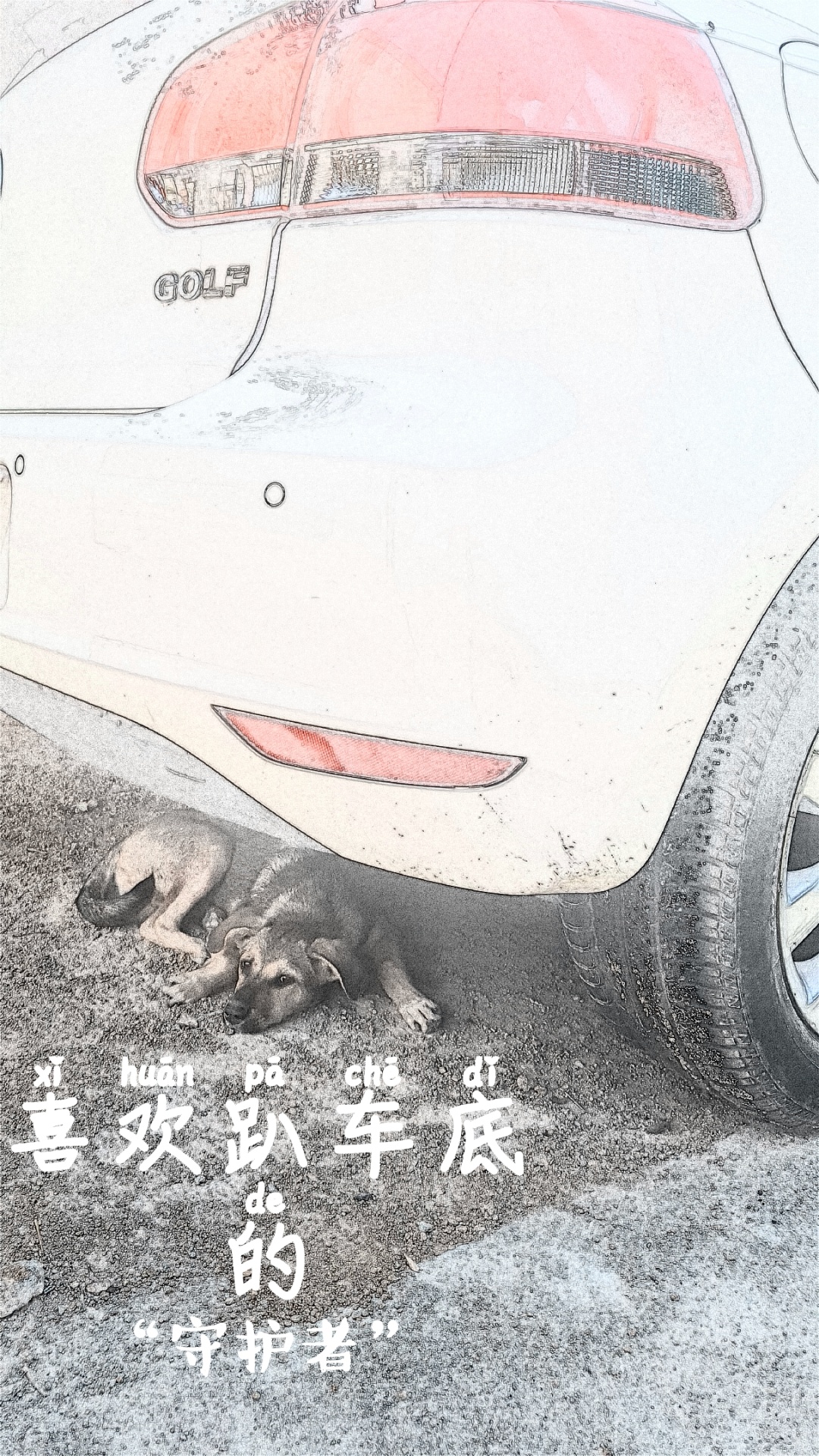 山东诺粉想买顶配日系中级车,却喜提丐版高尔夫6「诺粉来稿」