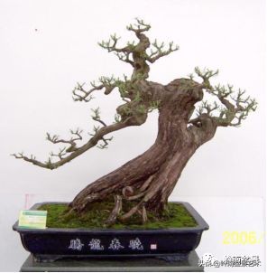 名师讲堂节选视频,名师课例分享及研讨交流