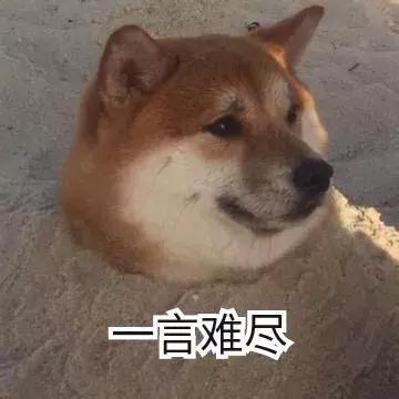 那些年我们笑的撕心裂肺,那些年我们开怀大笑